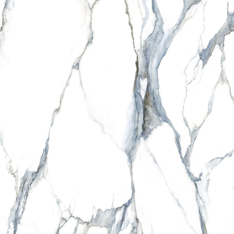 Calacatta Fantasy Acqua Polished 48 x 48