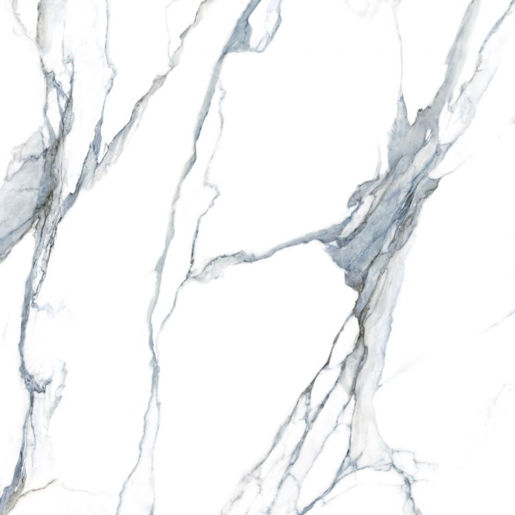 Calacatta Fantasy Acqua Polished 48 x 48