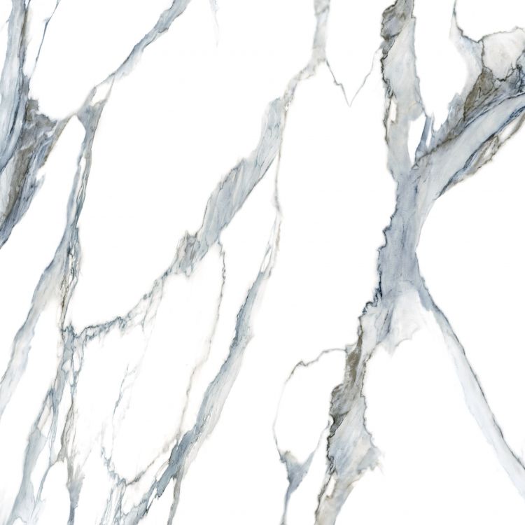 Calacatta Fantasy Acqua Polished 48 x 48
