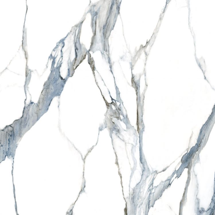 Calacatta Fantasy Acqua Polished 48 x 48