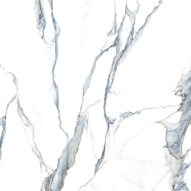 Calacatta Fantasy Acqua Polished 48 x 48