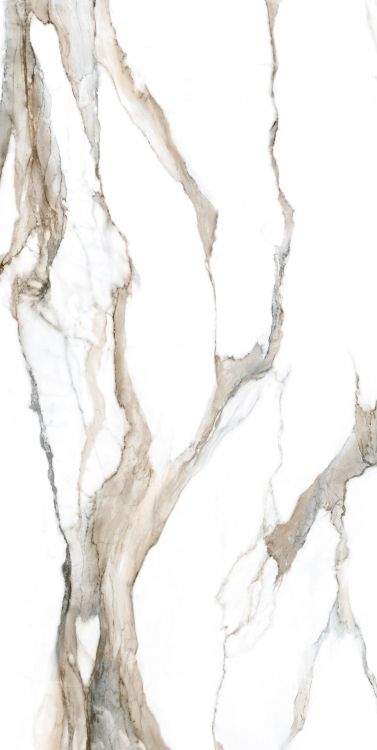 Calacatta Fantasy Topo Polished 24 x 48