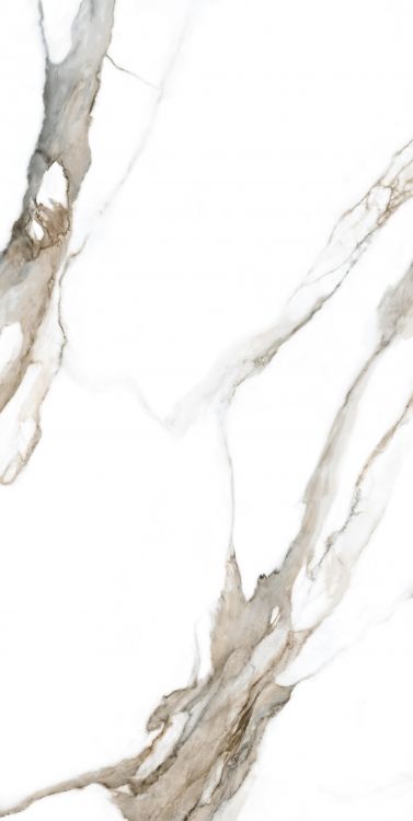 Calacatta Fantasy Topo Polished 24 x 48