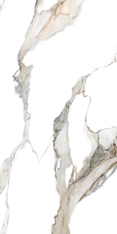 Calacatta Fantasy Topo Polished 24 x 48