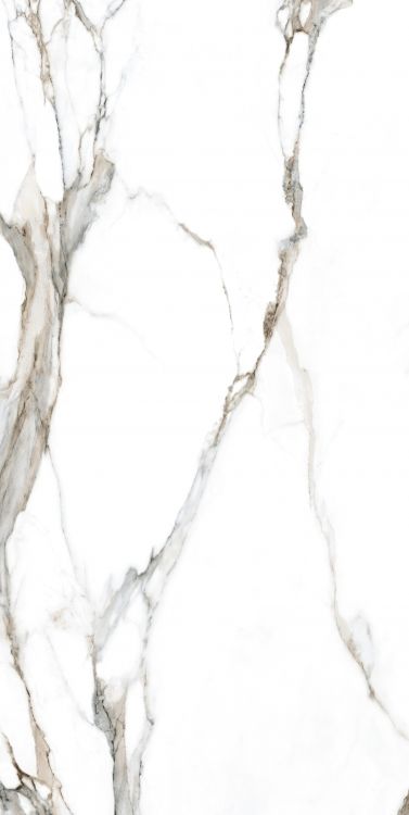 Calacatta Fantasy Topo Polished 24 x 48
