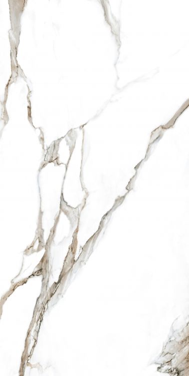 Calacatta Fantasy Topo Polished 24 x 48