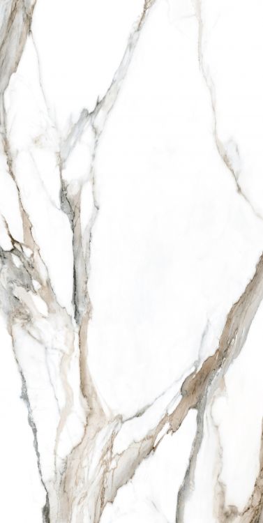 Calacatta Fantasy Topo Polished 24 x 48