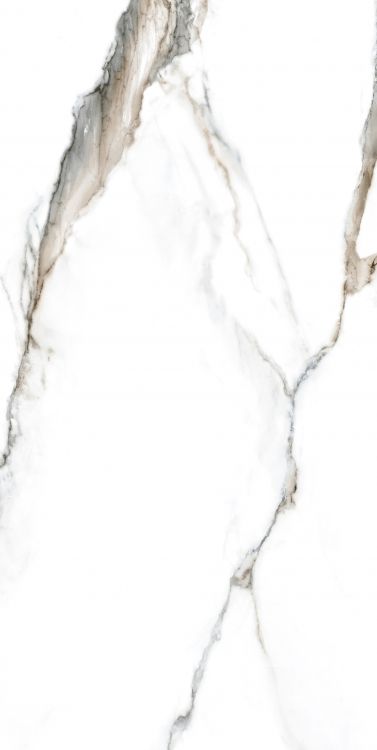 Calacatta Fantasy Topo Polished 24 x 48