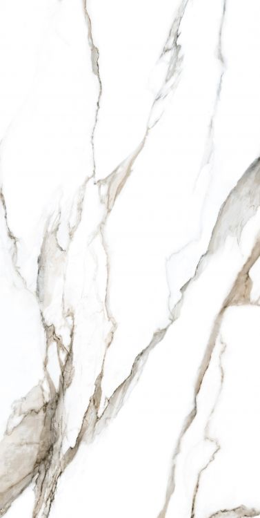 Calacatta Fantasy Topo Polished 24 x 48