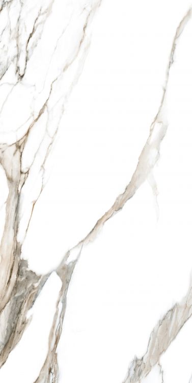 Calacatta Fantasy Topo Polished 24 x 48