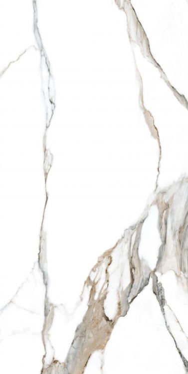 Calacatta Fantasy Topo Polished 24 x 48