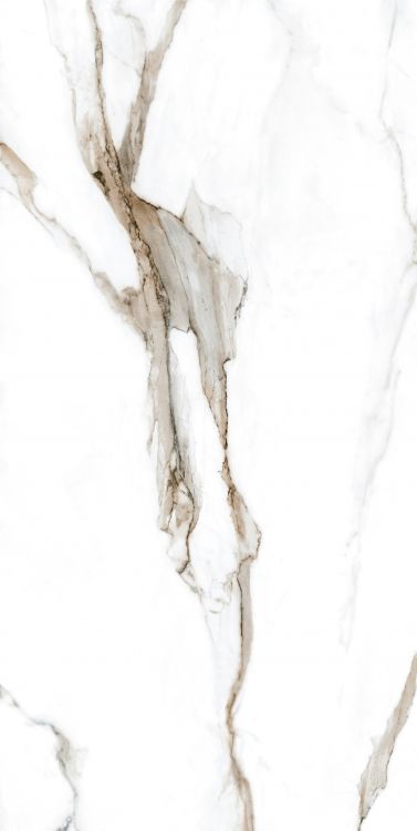 Calacatta Fantasy Topo Polished 24 x 48