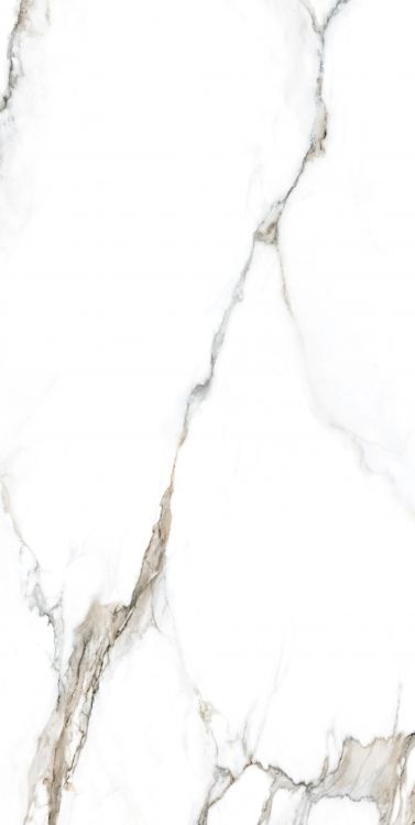 Calacatta Fantasy Topo Polished 24 x 48