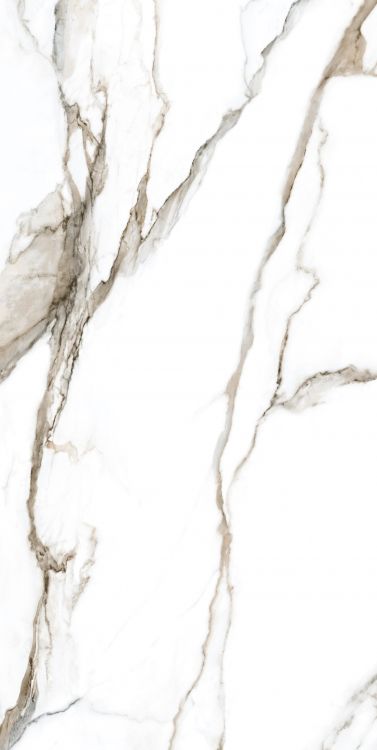 Calacatta Fantasy Topo Polished 24 x 48
