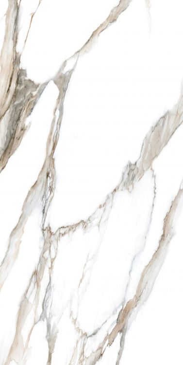 Calacatta Fantasy Topo Polished 24 x 48