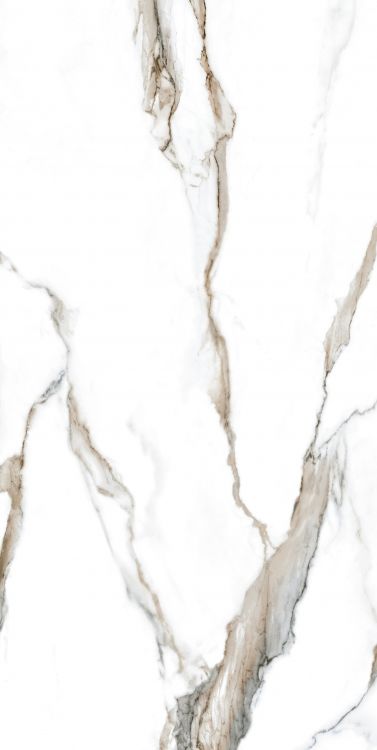 Calacatta Fantasy Topo Polished 24 x 48