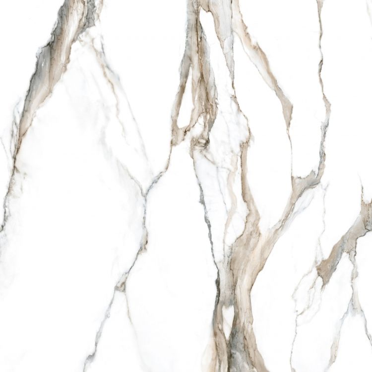Calacatta Fantasy Topo Polished 48 x 48