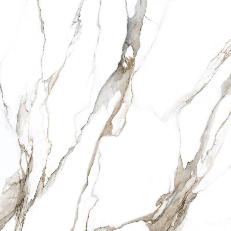 Calacatta Fantasy Topo Polished 48 x 48