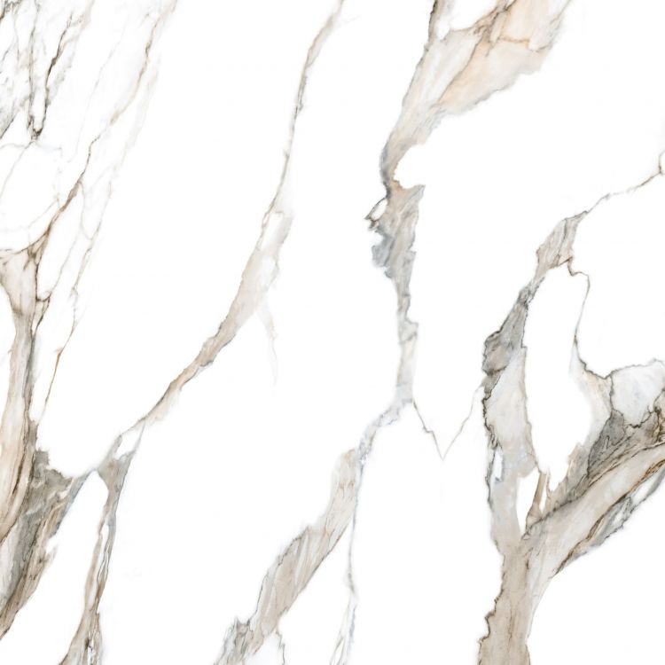 Calacatta Fantasy Topo Polished 48 x 48