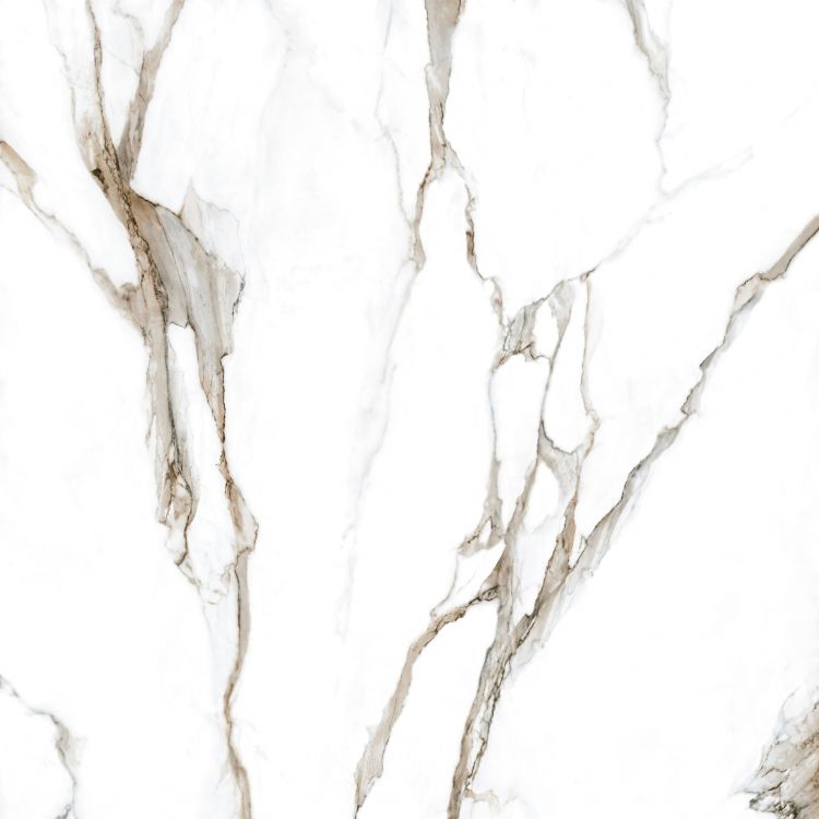 Calacatta Fantasy Topo Polished 48 x 48