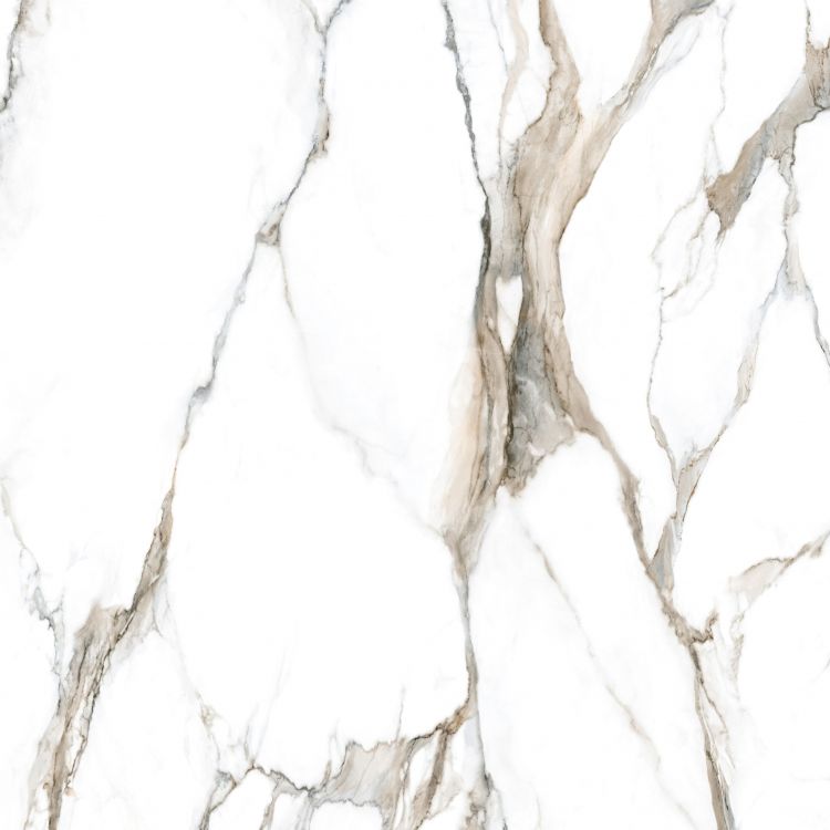 Calacatta Fantasy Topo Polished 48 x 48