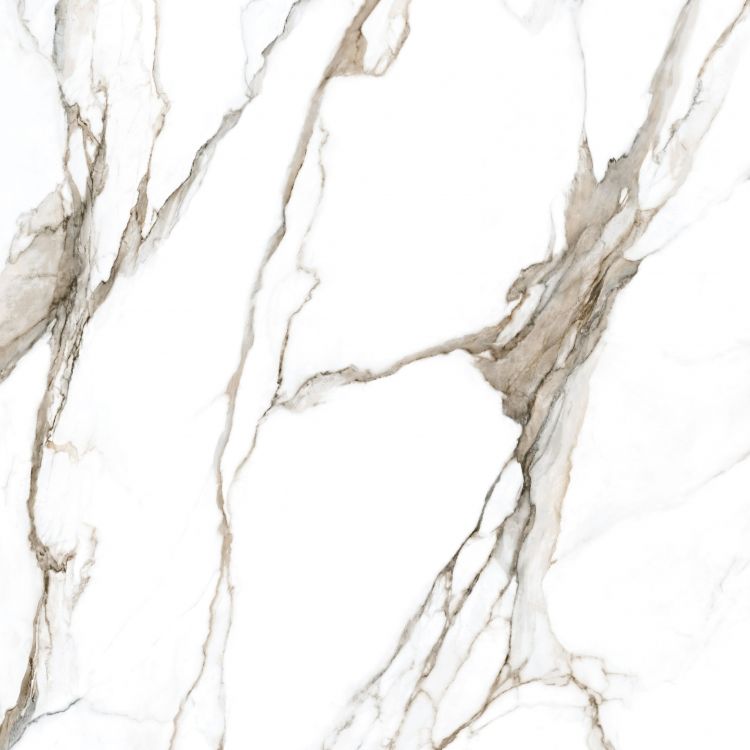 Calacatta Fantasy Topo Polished 48 x 48