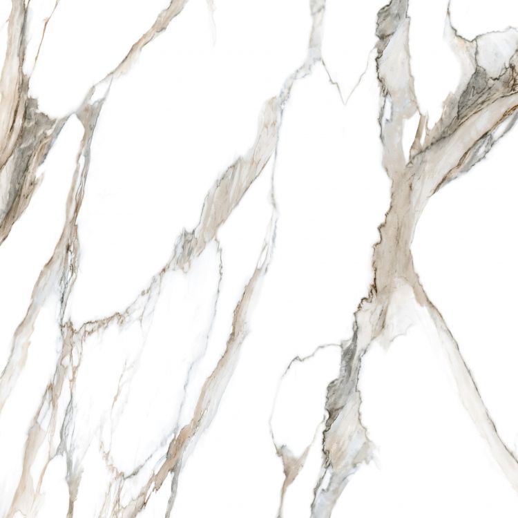 Calacatta Fantasy Topo Polished 48 x 48