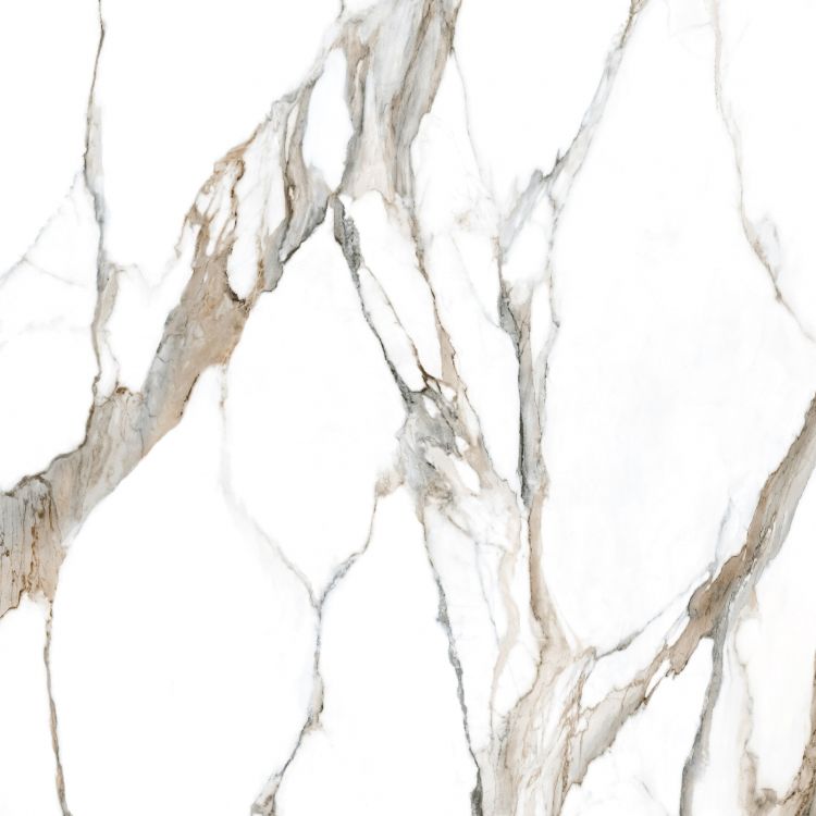 Calacatta Fantasy Topo Polished 48 x 48