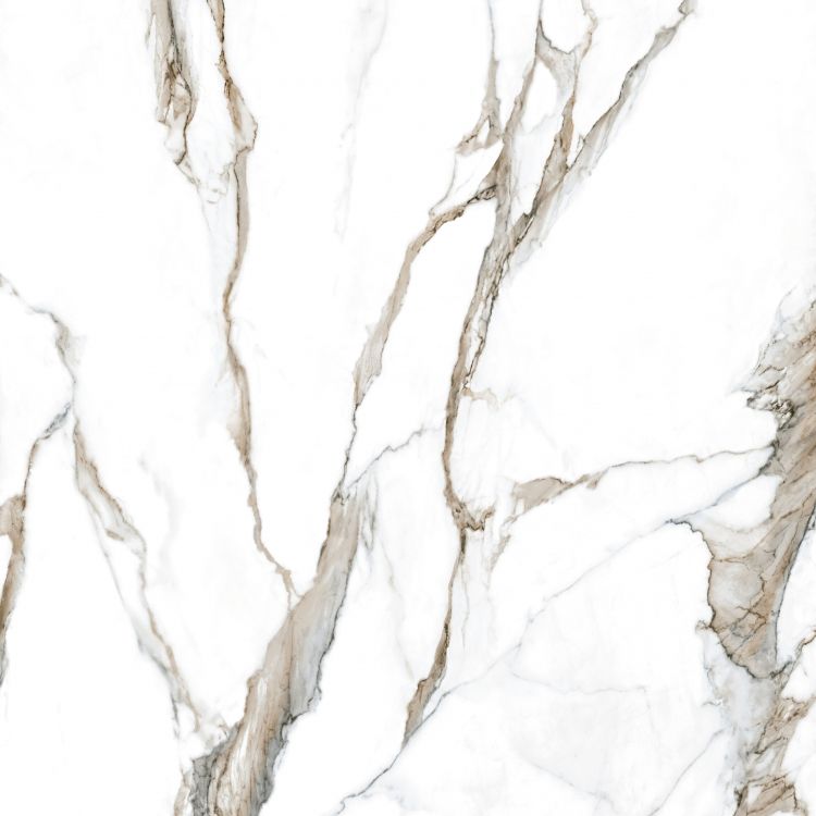 Calacatta Fantasy Topo Polished 48 x 48