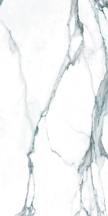 Calacatta Fantasy Green Polished 24 x 48