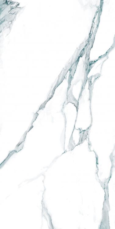 Calacatta Fantasy Green Polished 24 x 48