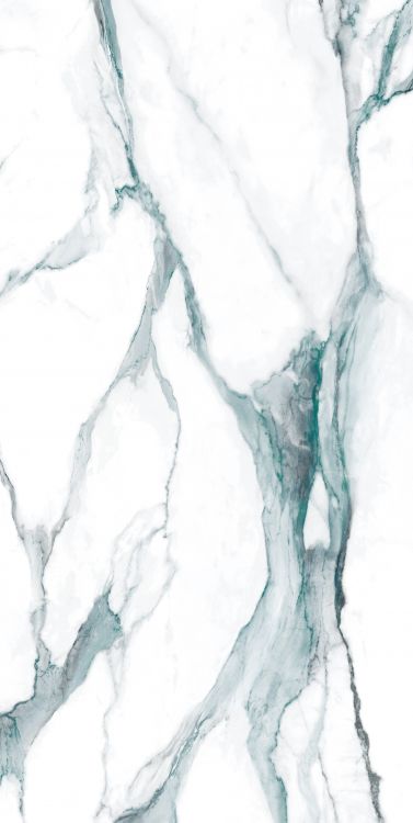 Calacatta Fantasy Green Polished 24 x 48
