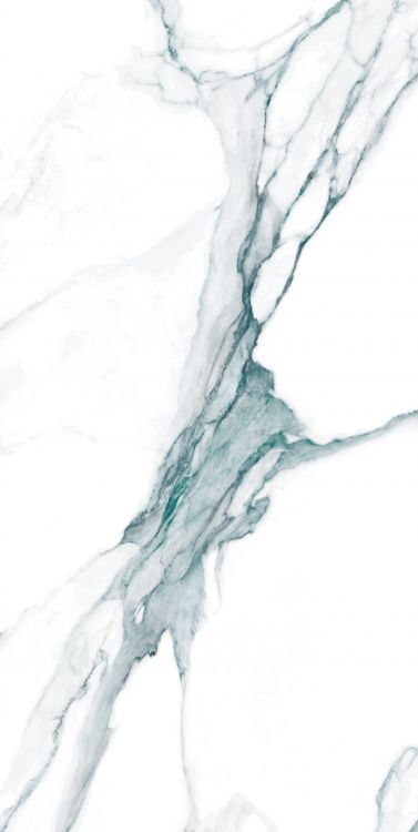 Calacatta Fantasy Green Polished 24 x 48