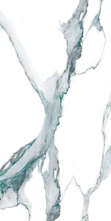 Calacatta Fantasy Green Polished 24 x 48