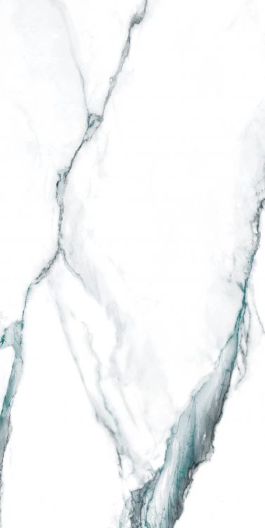 Calacatta Fantasy Green Polished 24 x 48