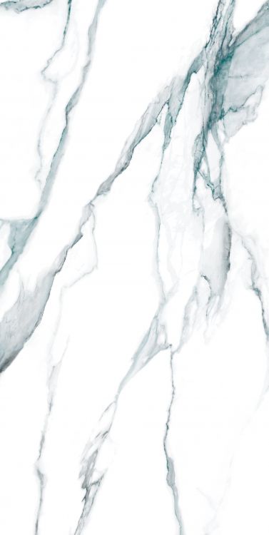 Calacatta Fantasy Green Polished 24 x 48