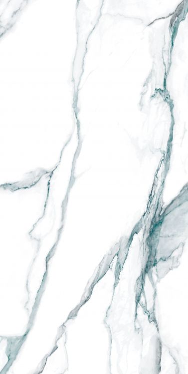 Calacatta Fantasy Green Polished 24 x 48