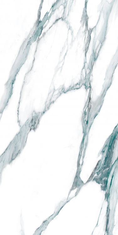 Calacatta Fantasy Green Polished 24 x 48
