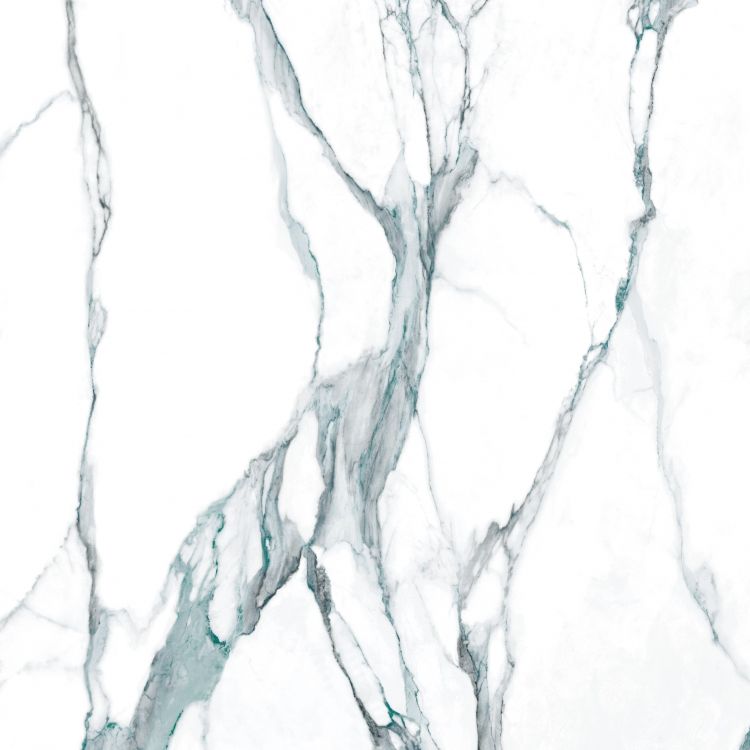 Calacatta Fantasy Green Polished 48 x 48