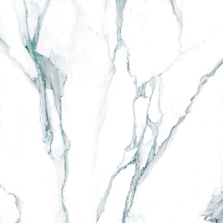 Calacatta Fantasy Green Polished 48 x 48