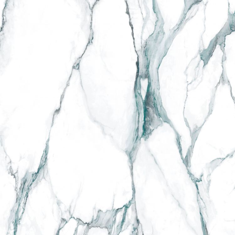 Calacatta Fantasy Green Polished 48 x 48