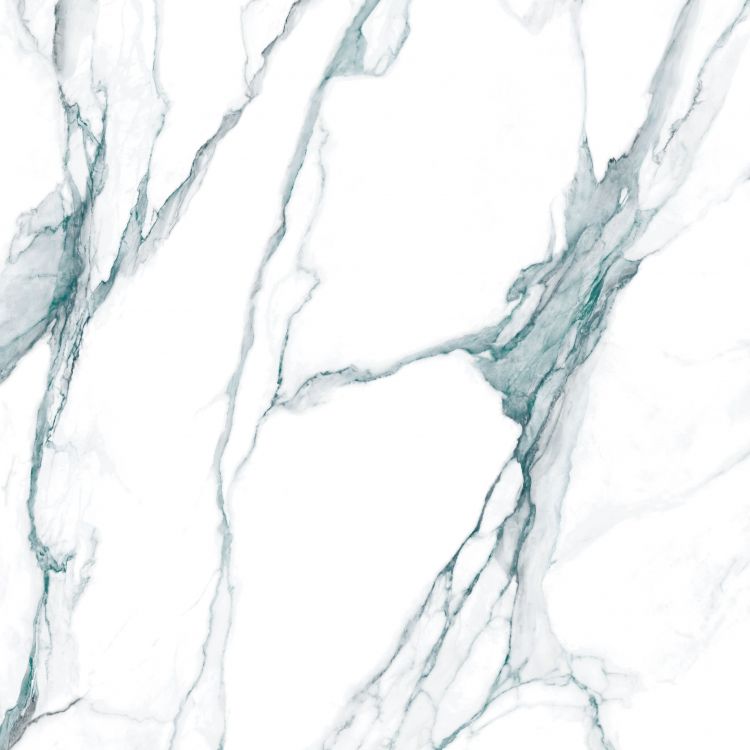 Calacatta Fantasy Green Polished 48 x 48