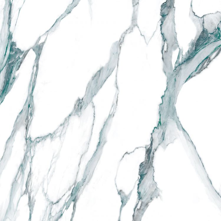 Calacatta Fantasy Green Polished 48 x 48