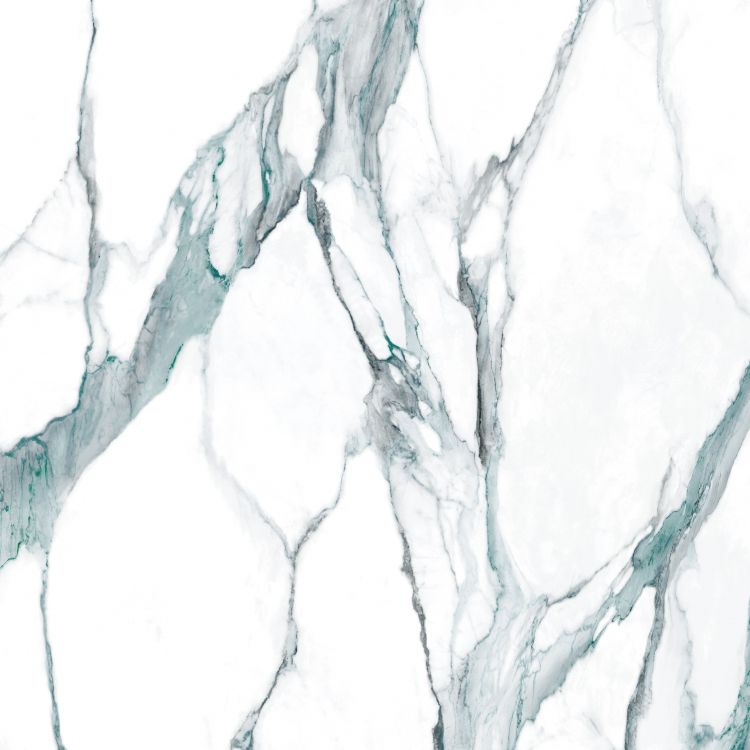 Calacatta Fantasy Green Polished 48 x 48