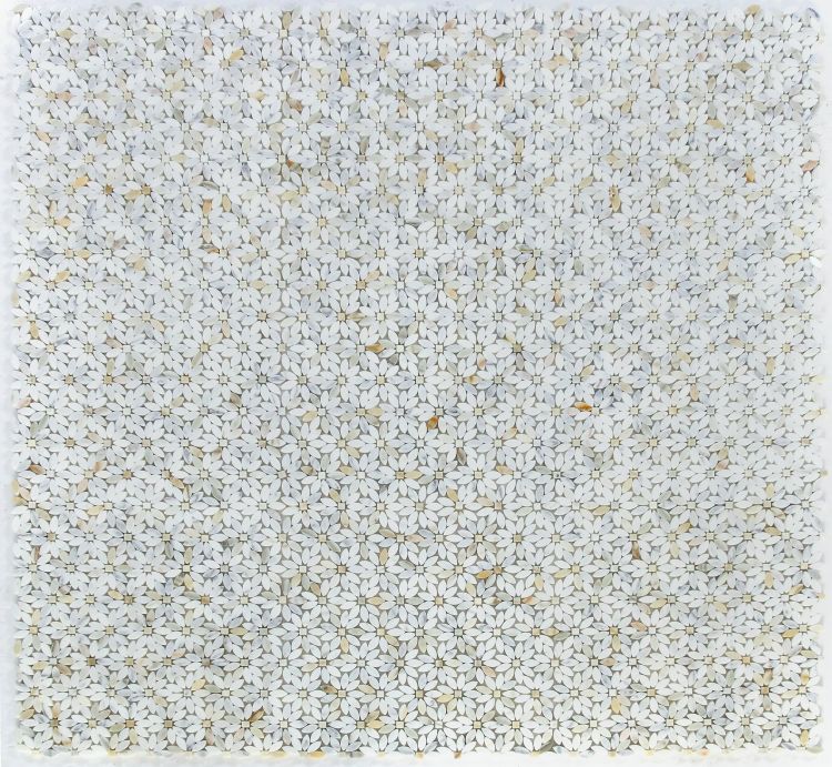 Daisy Wild Calacatta Gold 12.75 x 13.25
