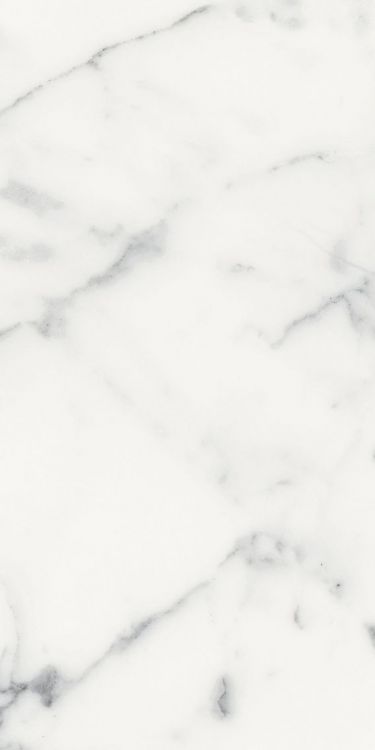 Origines Blanc Matte 12 x 24