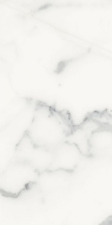 Origines Blanc Matte 12 x 24