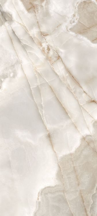 Reves Noisette Matte 32 x 71