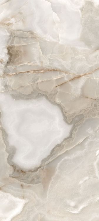 Reves Noisette Matte 32 x 71