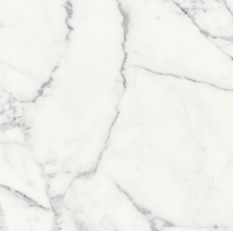 Origines Blanc Matte 24 x 24